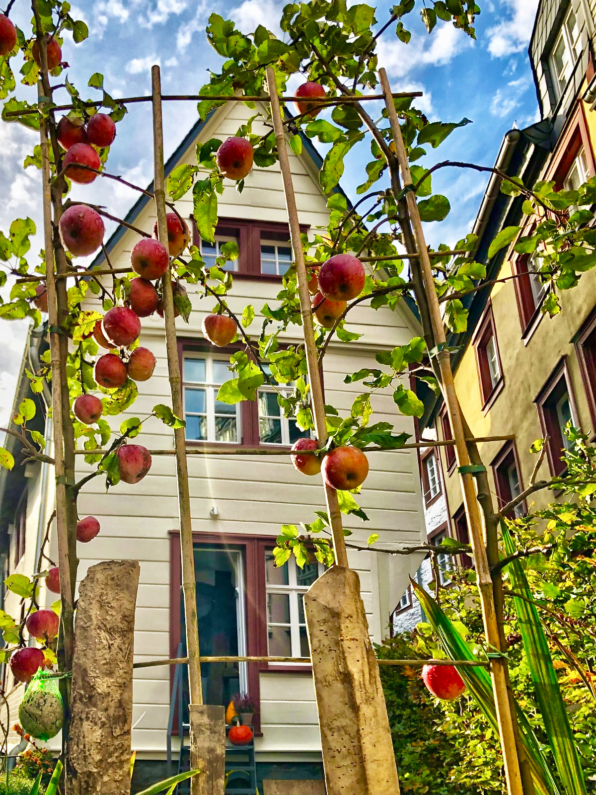 Ferienhaus Auszeit in Monschau – Blick auf die Fachwerk-Fassade